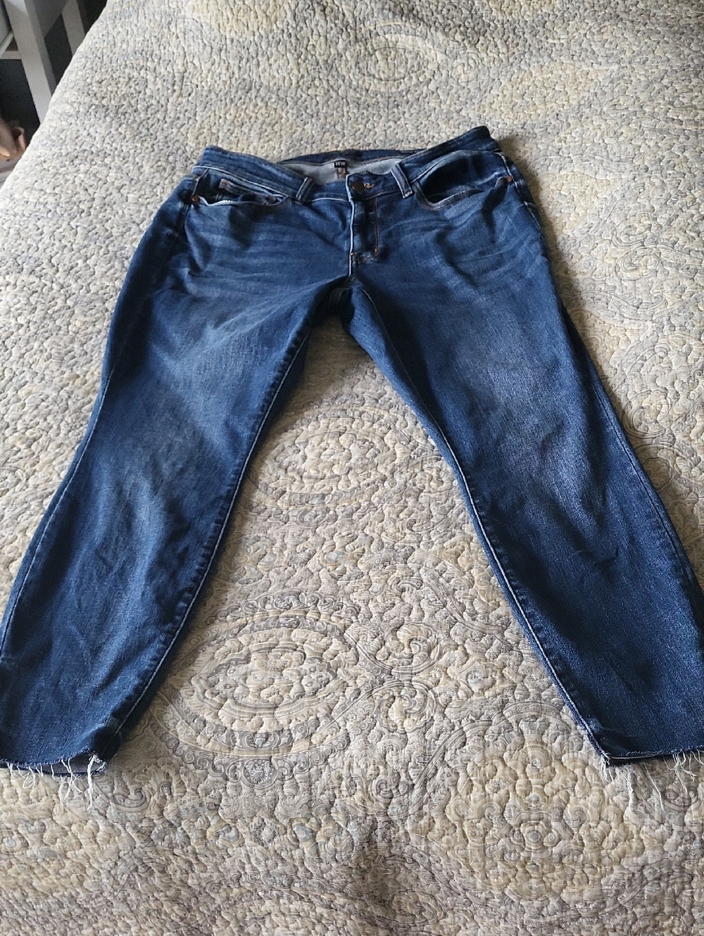 Judy Blue Indigo Skinny Jeans with Raw Hem